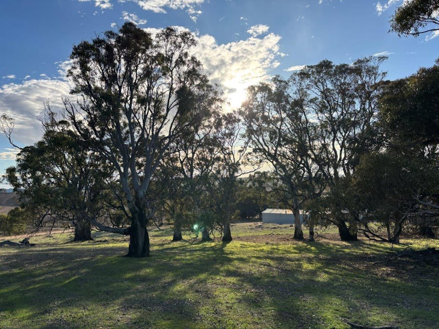 Allot 21/Chapman Road, Green Patch, SA, 5607 - Image 6