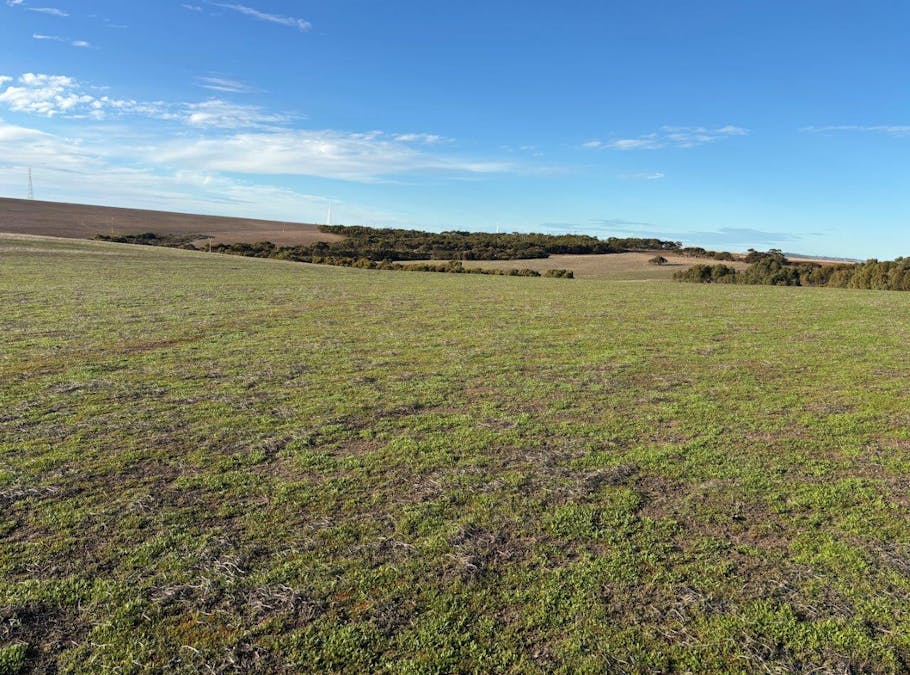 Allot 21/Chapman Road, Green Patch, SA, 5607 - Image 5