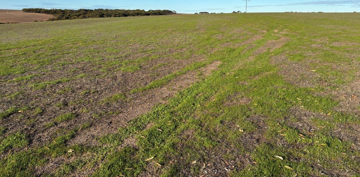 Allot 21/Chapman Road, Green Patch, SA, 5607 - Image 8