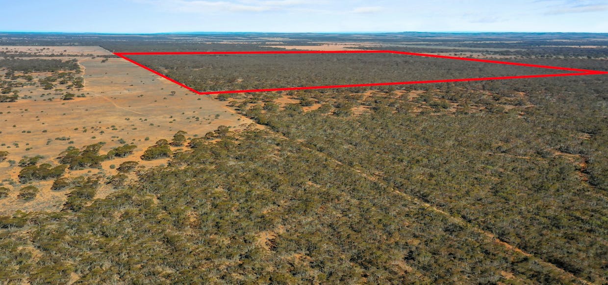 Lot 41 Bower Boundary Road, Bower, SA, 5374 - Image 15