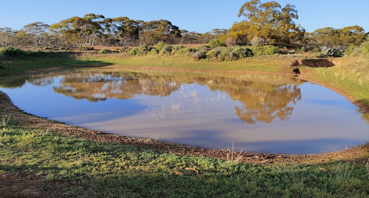 Lot 41 Bower Boundary Road, Bower, SA, 5374 - Image 10