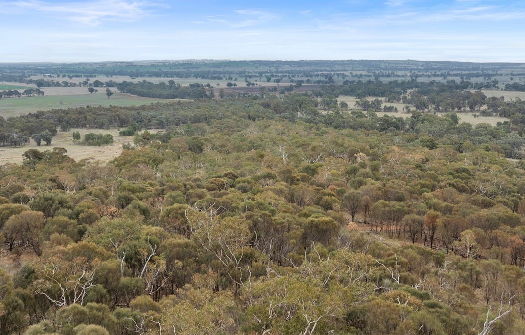 115 Mount Bruno Road, Mount Bruno, VIC, 3675 - Image 33