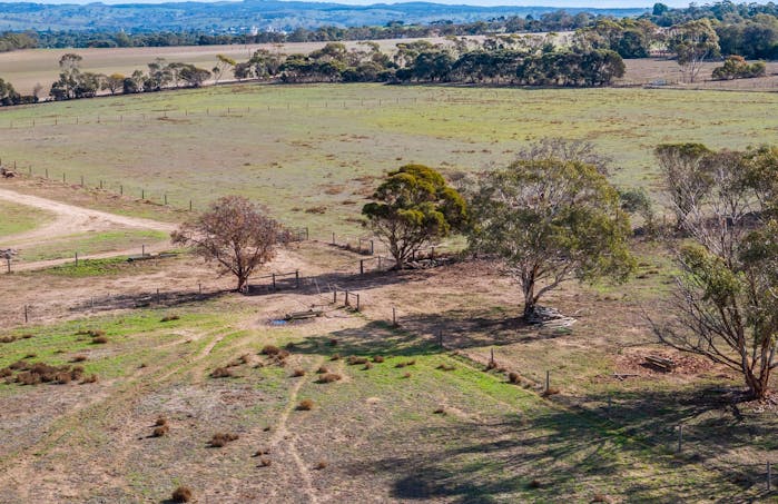 429 Langhorne Creek Road, Belvidere, SA, 5255 - Image 2