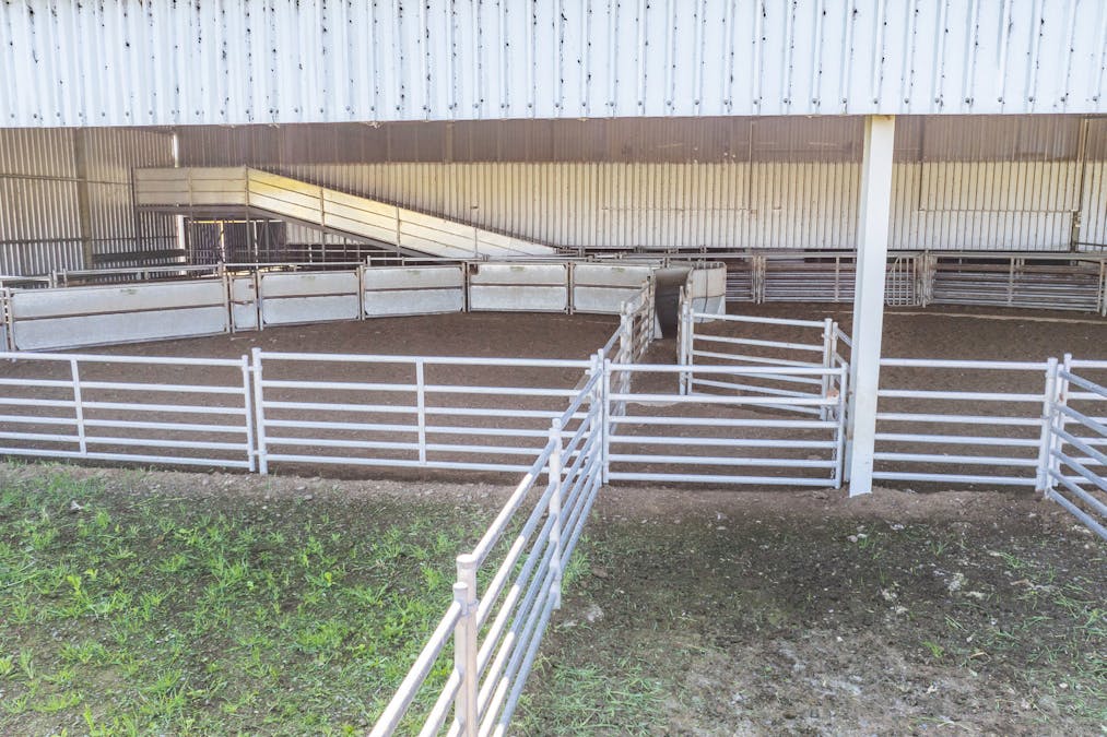 BOOROOL  Mossdale Road, Balldale, NSW, 2646 - Image 13