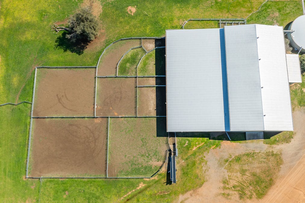 BOOROOL  Mossdale Road, Balldale, NSW, 2646 - Image 10