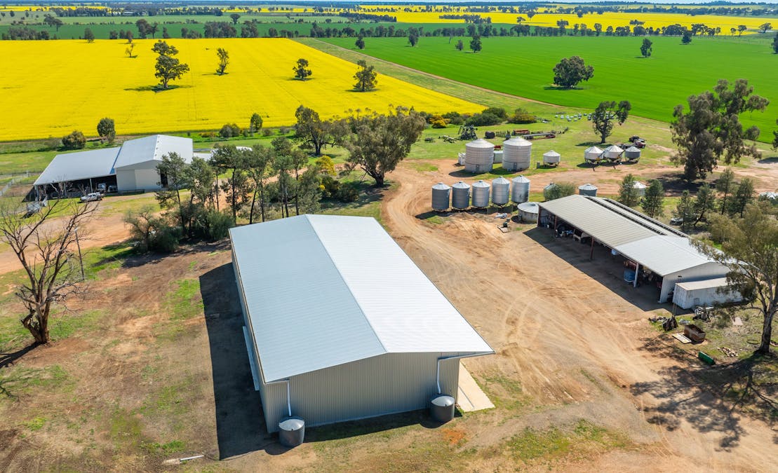 BOOROOL  Mossdale Road, Balldale, NSW, 2646 - Image 4