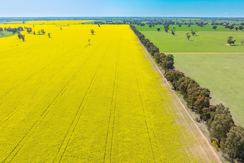 BOOROOL  Mossdale Road, Balldale, NSW, 2646 - Image 23