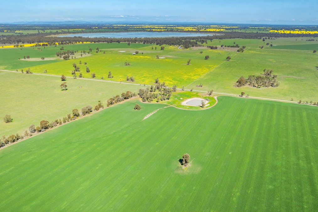 BOOROOL  Mossdale Road, Balldale, NSW, 2646 - Image 19