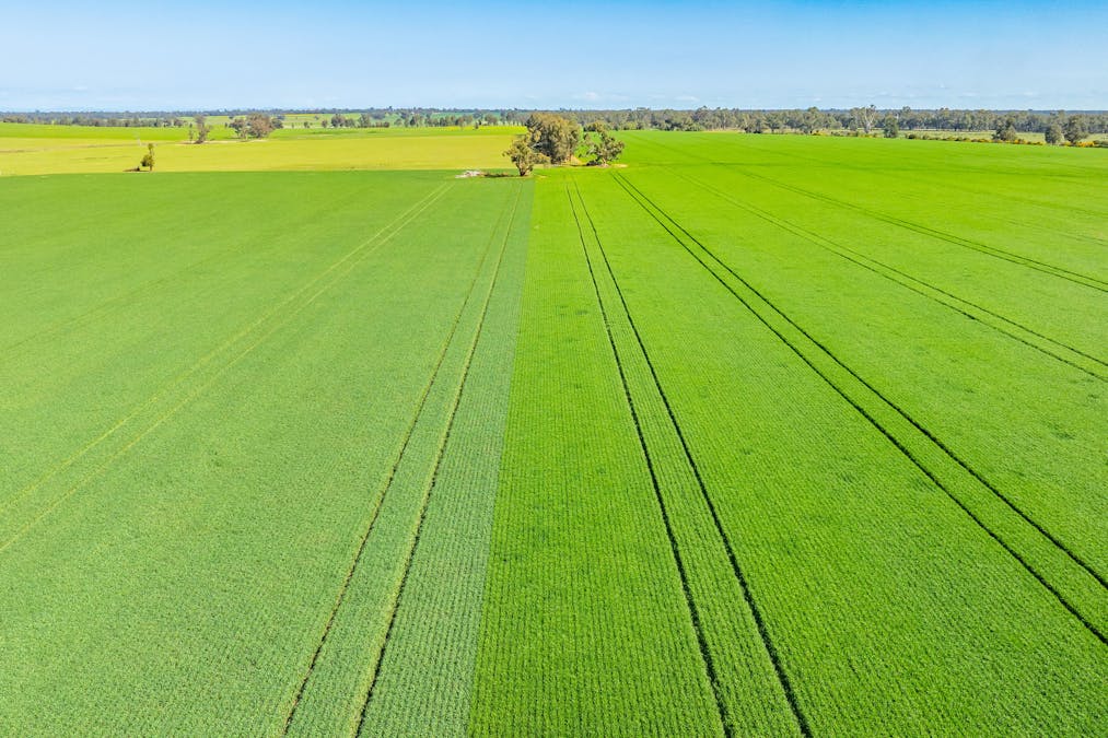 BOOROOL  Mossdale Road, Balldale, NSW, 2646 - Image 24