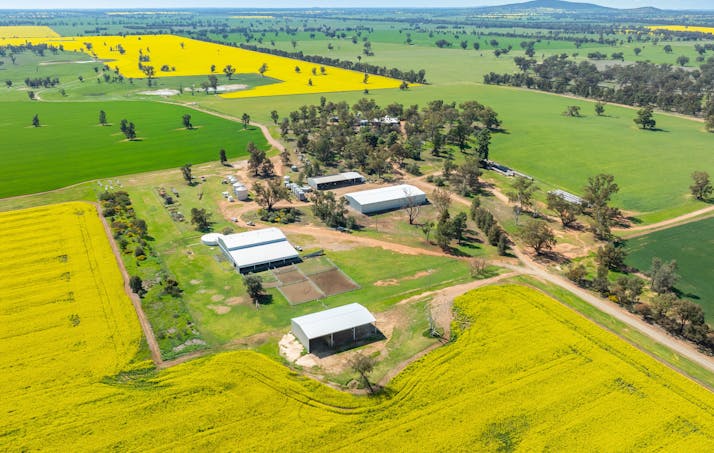 BOOROOL  Mossdale Road, Balldale, NSW, 2646 - Image 1