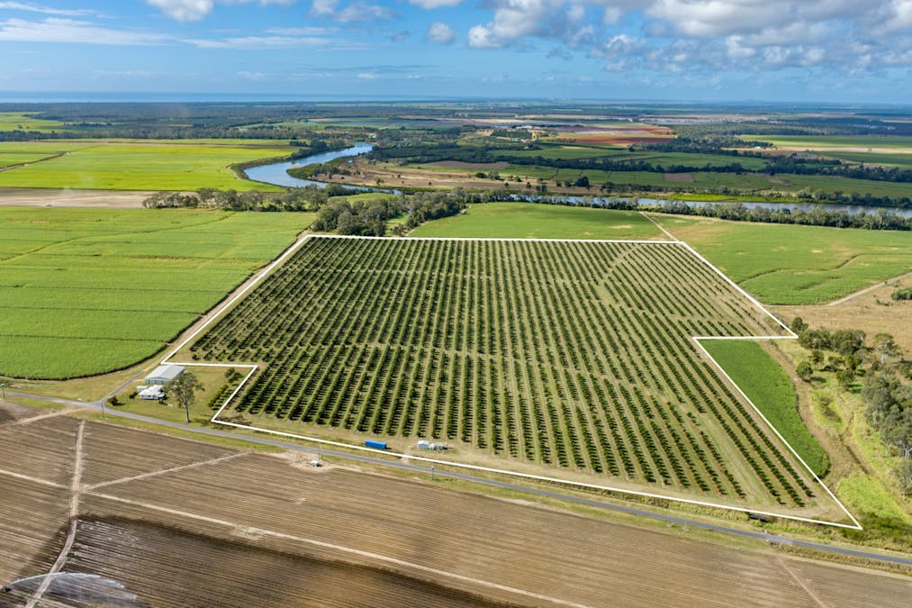 Mahoneys Road, Bucca, QLD, 4670 - Image 2