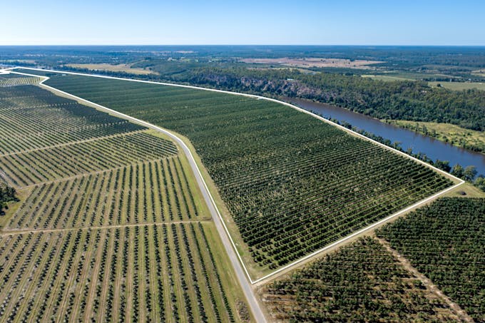 Mahoneys Road, Bucca, QLD, 4670 - Image 1