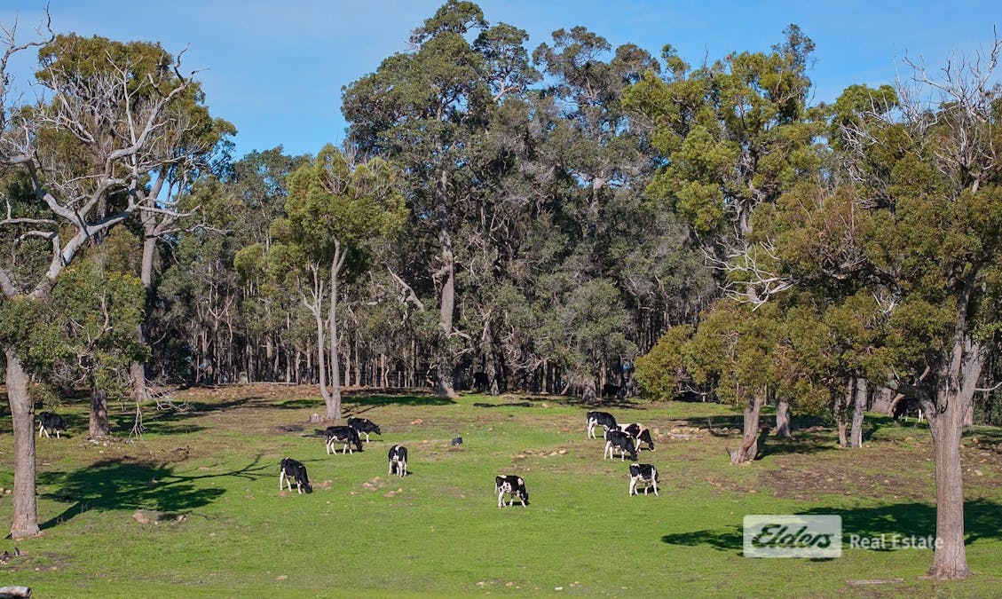130 | 131 /Thomson Street, Donnybrook, WA, 6239 - Image 10