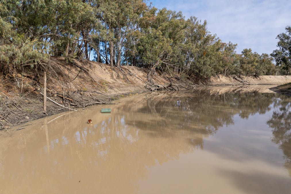 2423 Petro Mail Road, Arumpo, NSW, 2715 - Image 16