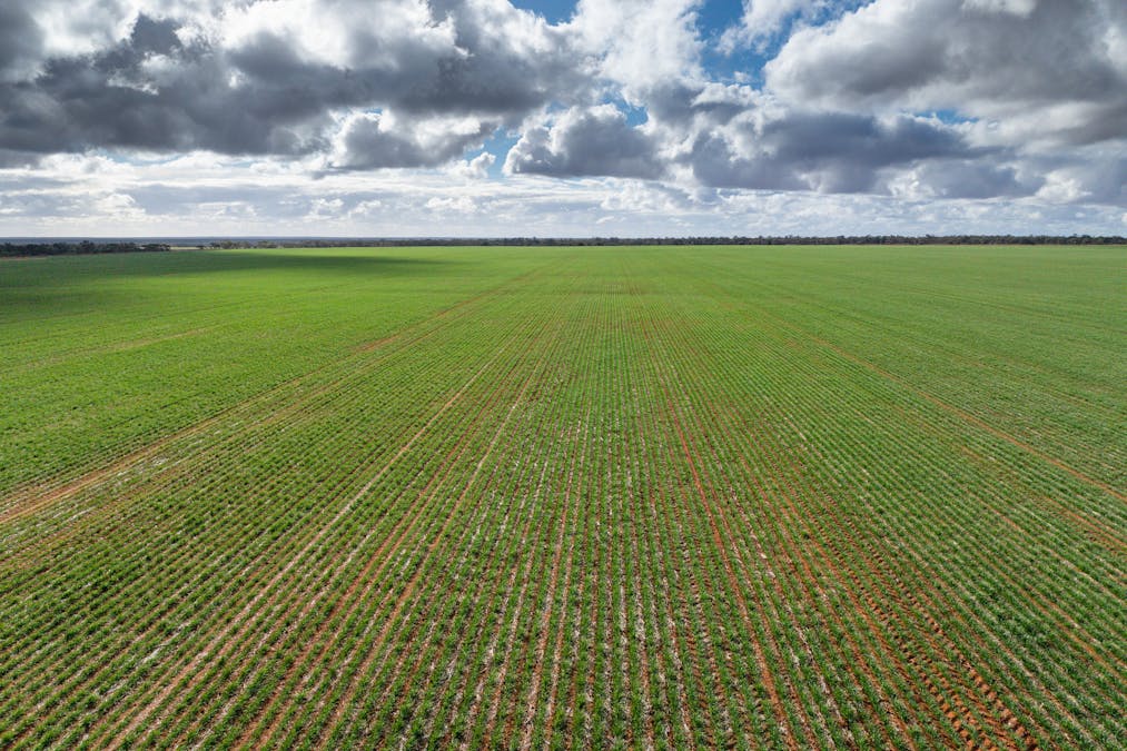 2423 Petro Mail Road, Arumpo, NSW, 2715 - Image 5