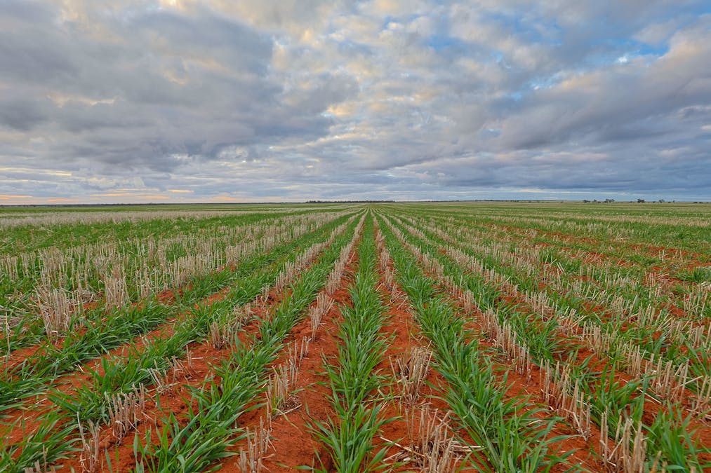 2423 Petro Mail Road, Arumpo, NSW, 2715 - Image 9