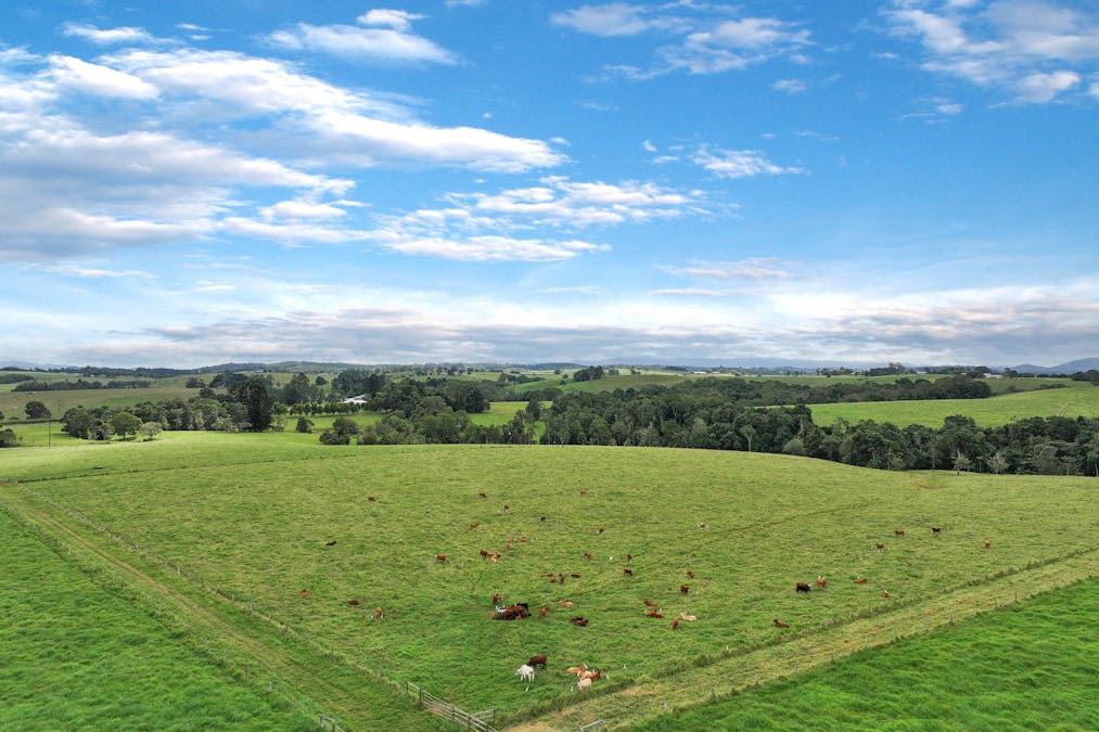 476 Russell Road, North Johnstone, QLD, 4885 - Image 10