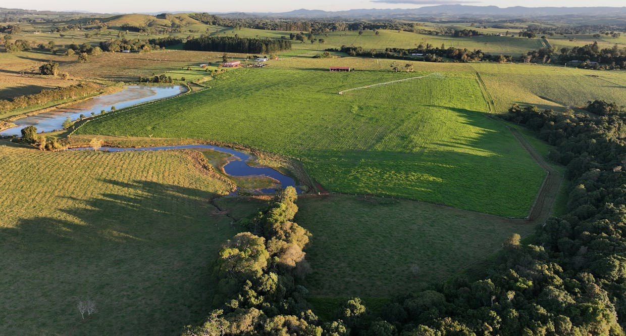 476 Russell Road, North Johnstone, QLD, 4885 - Image 6
