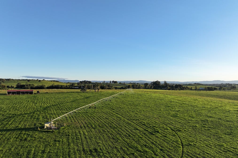 476 Russell Road, North Johnstone, QLD, 4885 - Image 7