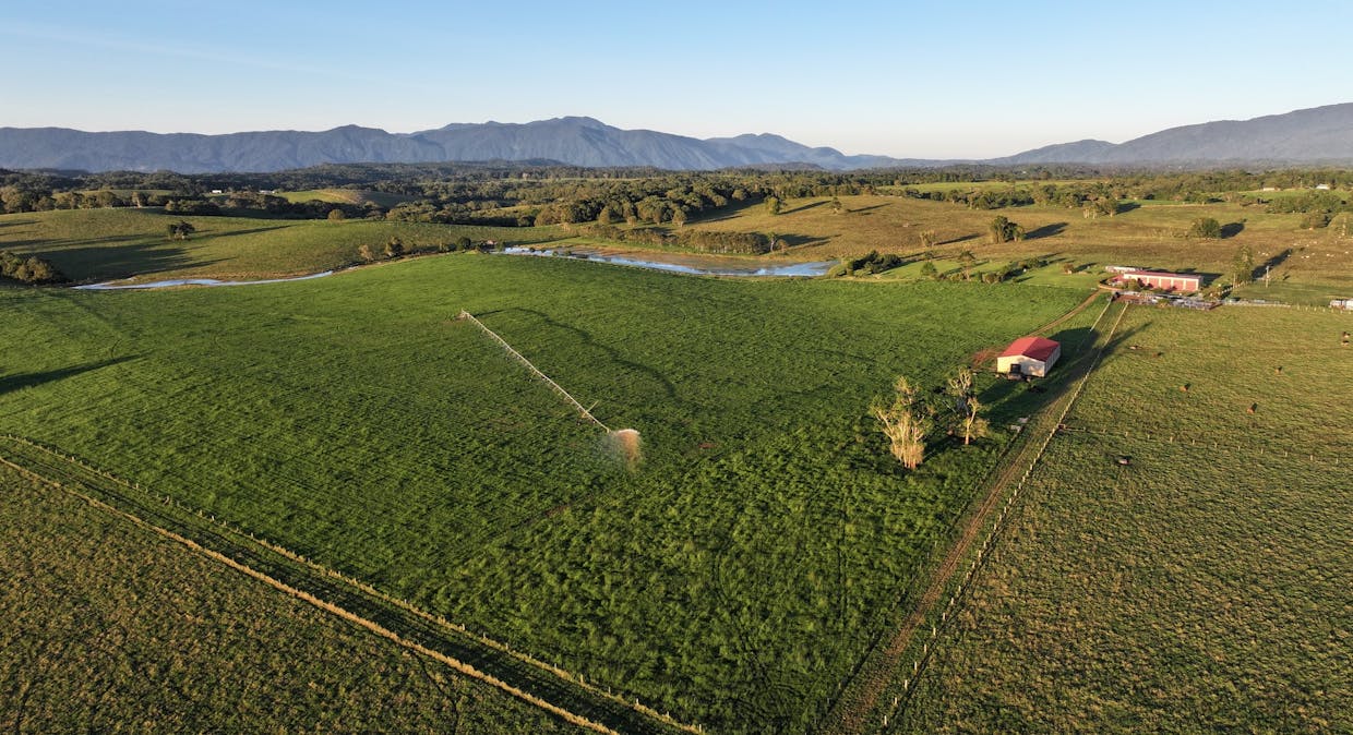 476 Russell Road, North Johnstone, QLD, 4885 - Image 2