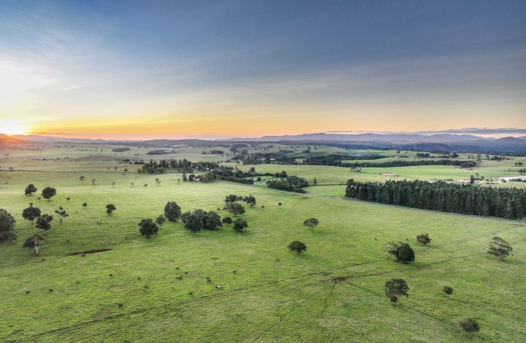 476 Russell Road, North Johnstone, QLD, 4885 - Image 19