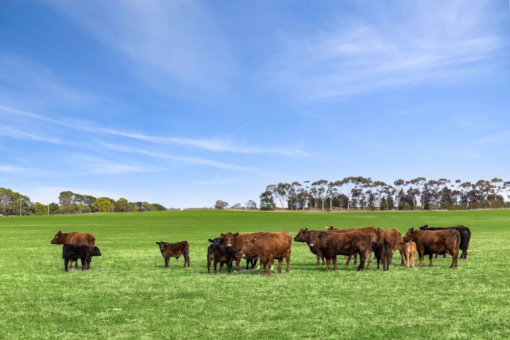 680 Ghazeepore Road, Freshwater Creek, VIC, 3217 - Image 2