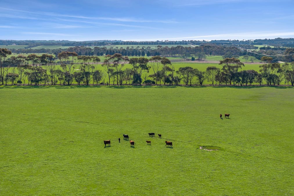 680 Ghazeepore Road, Freshwater Creek, VIC, 3217 - Image 5