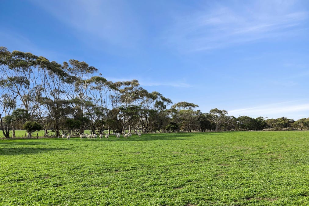 680 Ghazeepore Road, Freshwater Creek, VIC, 3217 - Image 8