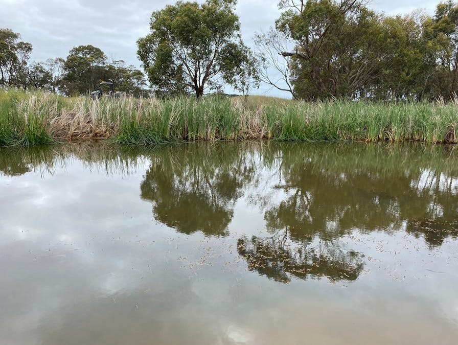 680 Ghazeepore Road, Freshwater Creek, VIC, 3217 - Image 7