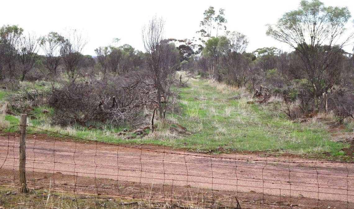 857 Dwelyerdine Road, Toolibin, WA, 6312 - Image 2