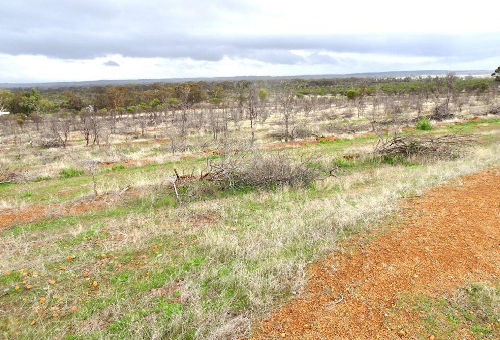 857 Dwelyerdine Road, Toolibin, WA, 6312 - Image 4