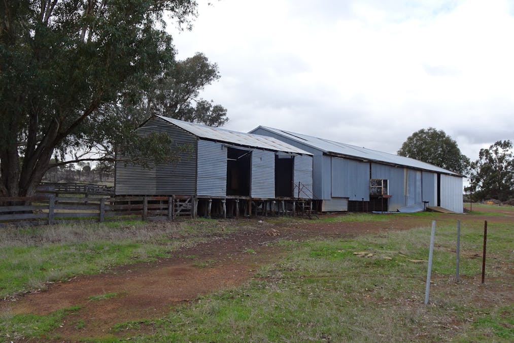 857 Dwelyerdine Road, Toolibin, WA, 6312 - Image 13