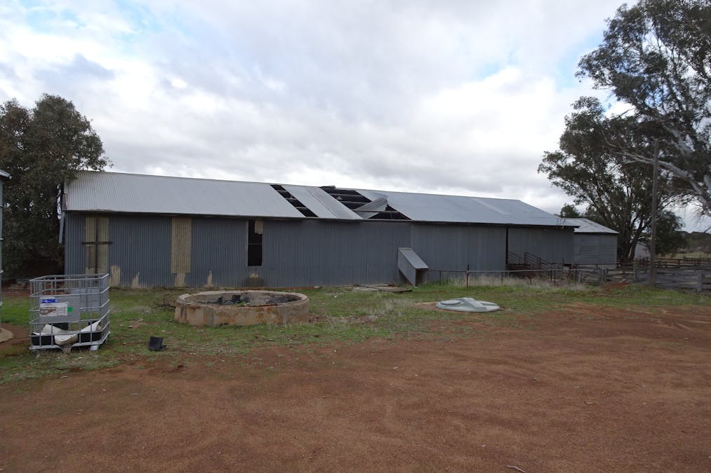 857 Dwelyerdine Road, Toolibin, WA, 6312 - Image 18