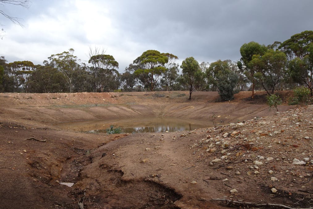 857 Dwelyerdine Road, Toolibin, WA, 6312 - Image 19