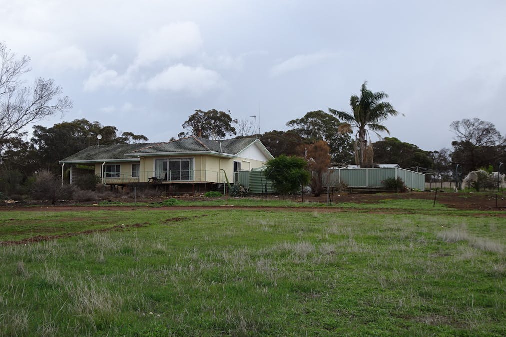 857 Dwelyerdine Road, Toolibin, WA, 6312 - Image 8