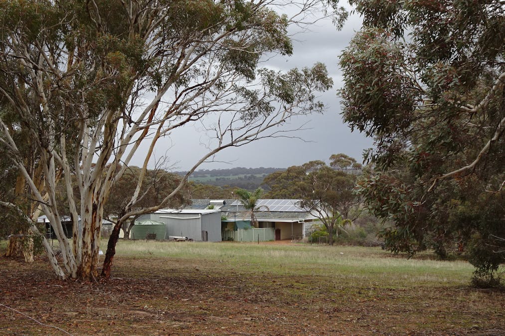 857 Dwelyerdine Road, Toolibin, WA, 6312 - Image 1