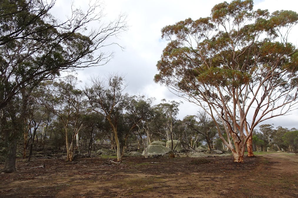 857 Dwelyerdine Road, Toolibin, WA, 6312 - Image 21