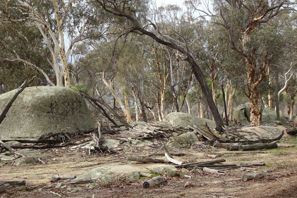 857 Dwelyerdine Road, Toolibin, WA, 6312 - Image 22