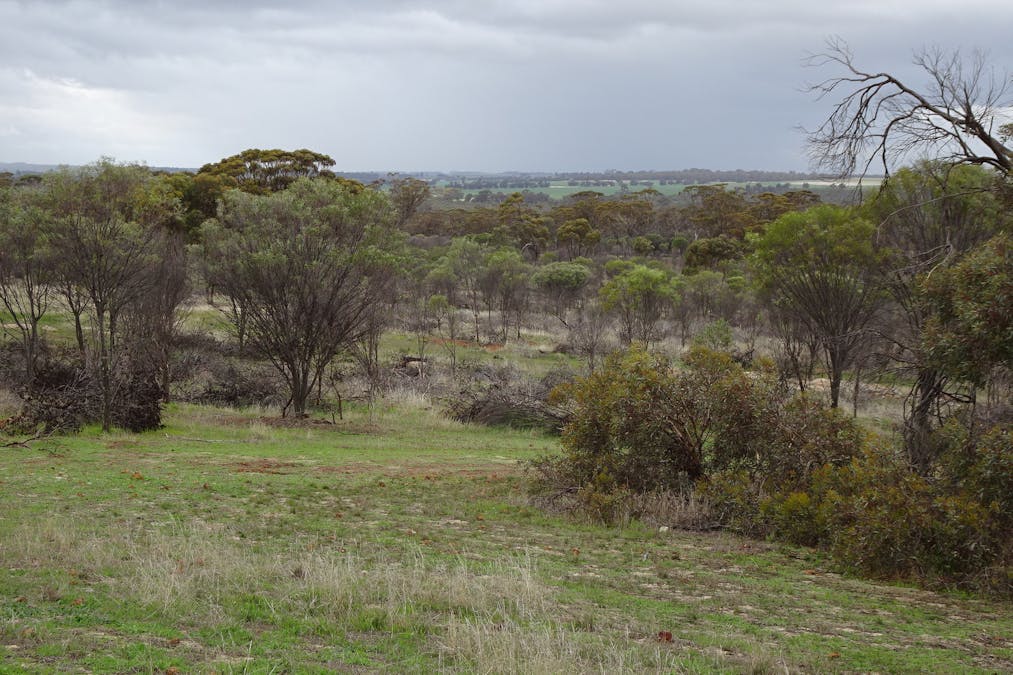 857 Dwelyerdine Road, Toolibin, WA, 6312 - Image 7