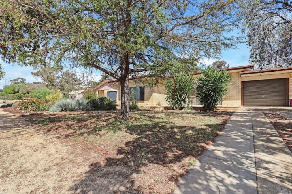 3 Aitken Street, Berri, SA, 5343 - Image 8