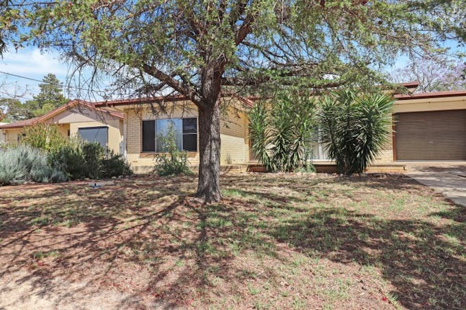 3 Aitken Street, Berri, SA, 5343 - Image 1