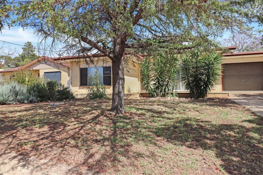 3 Aitken Street, Berri, SA, 5343 - Image 1