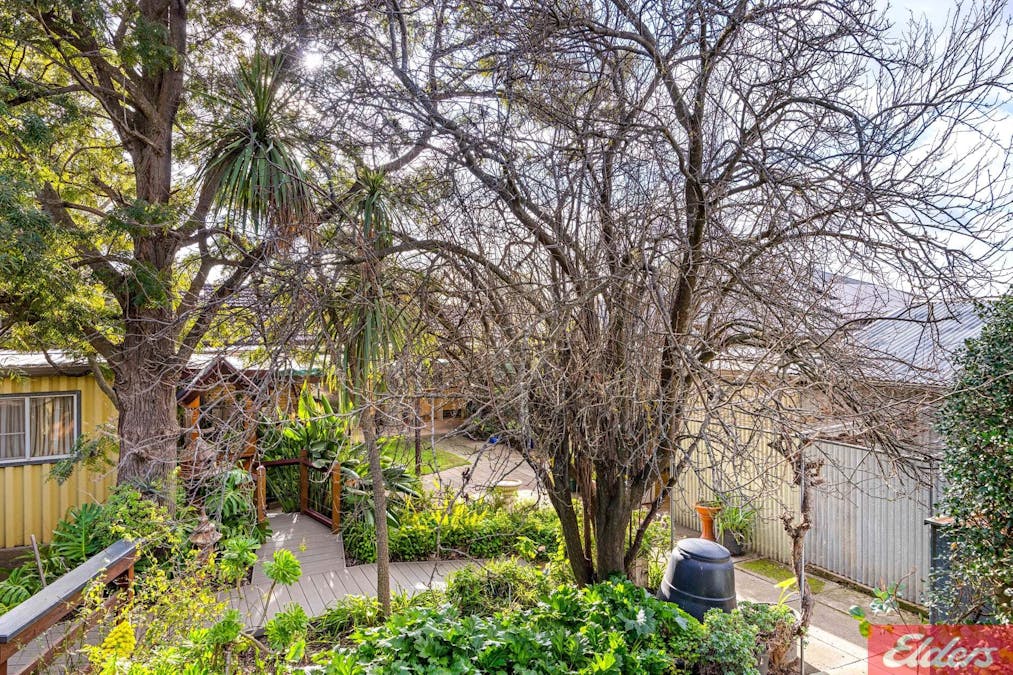 3 Beech Street, Tanunda, SA, 5352 - Image 21