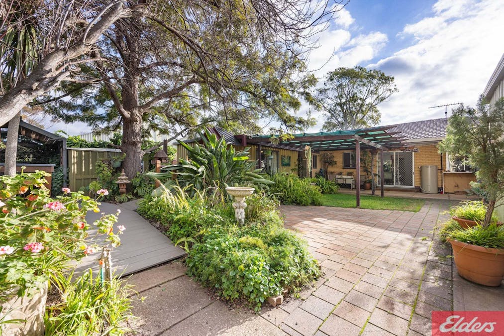 3 Beech Street, Tanunda, SA, 5352 - Image 23