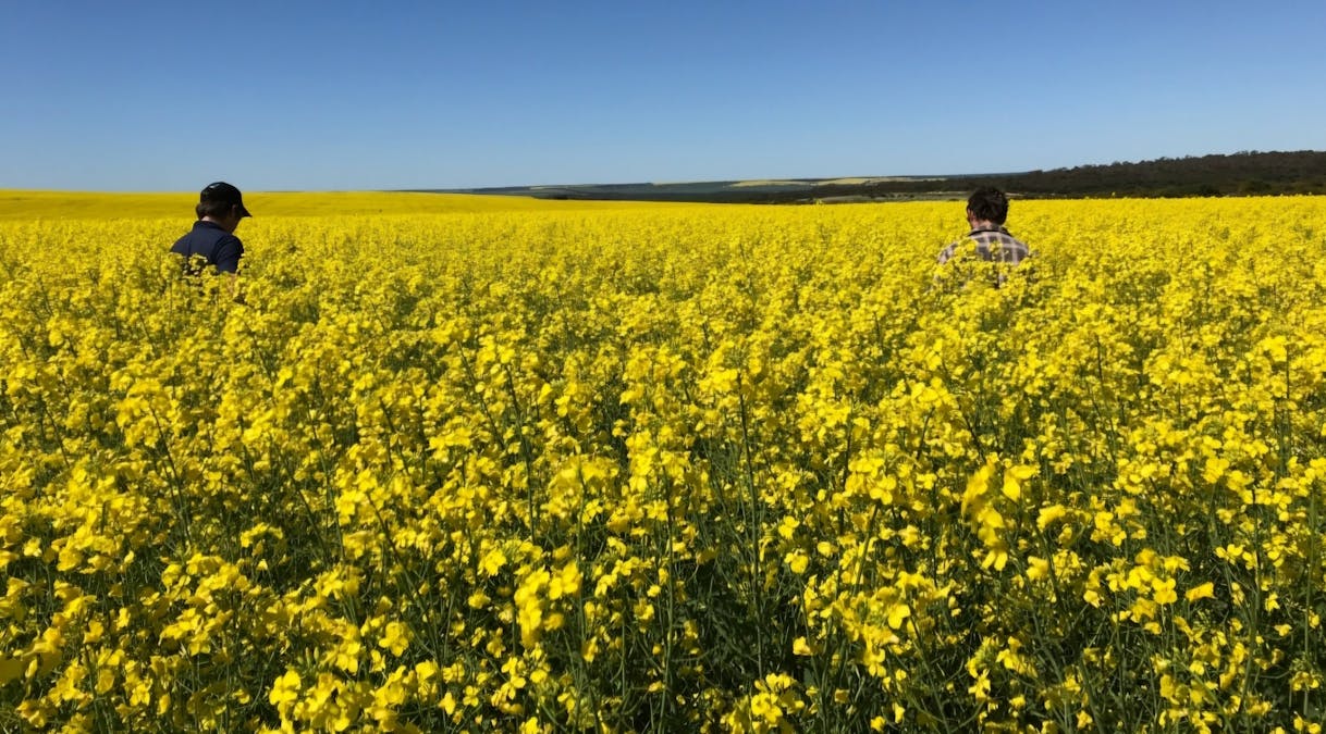Valentine Road, Wicherina, WA, 6532 - Image 2