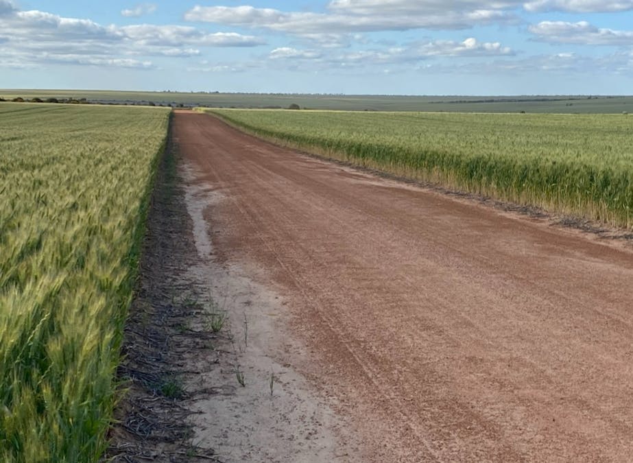 Valentine Road, Wicherina, WA, 6532 - Image 26