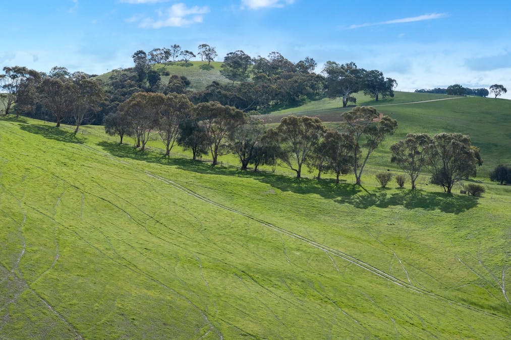 2057 Harrogate Road, Tungkillo, SA, 5236 - Image 22