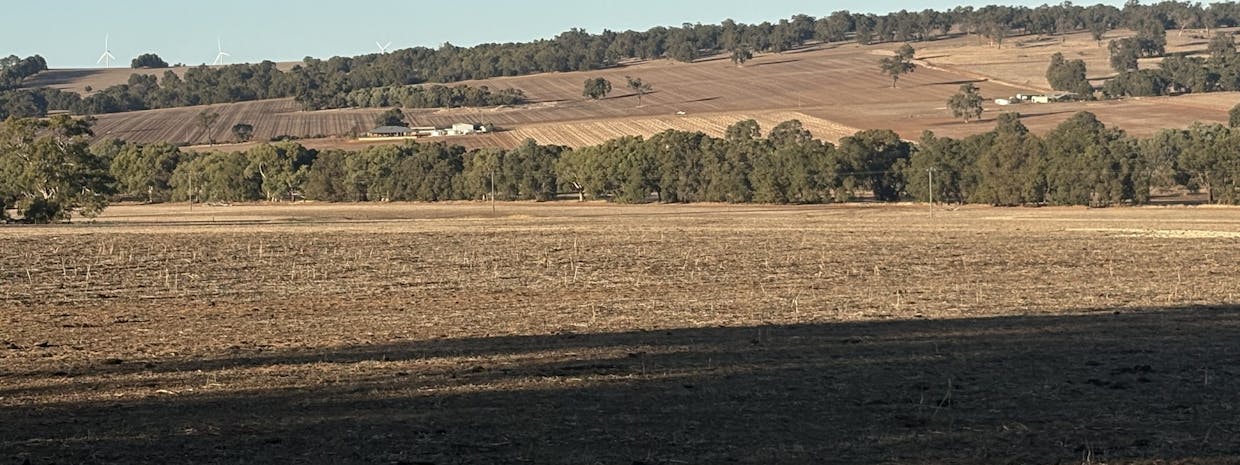 342 Badgingarra Road, Dandaragan, WA, 6507 - Image 2