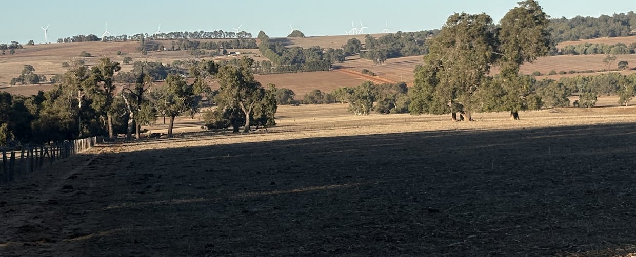 342 Badgingarra Road, Dandaragan, WA, 6507 - Image 4