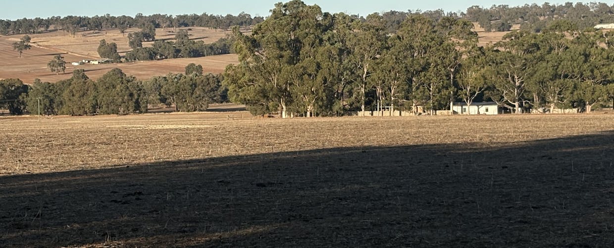 342 Badgingarra Road, Dandaragan, WA, 6507 - Image 7